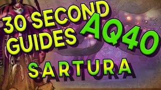 Battleguard Sartura - 30 Second Guides - AQ40