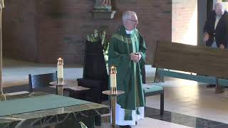 Fifteenth Sunday in Ordinary Time - Sunday 8am