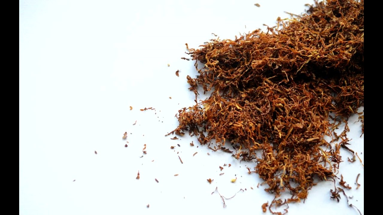 Circa 5g Schnupftabak oral in einer Klapse konsumiert (Reupload)