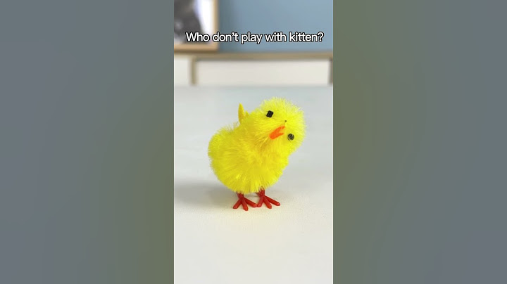 Who's The Most Different Of The Chicks?😁#oscarfunnyworld #funnycat #shorts