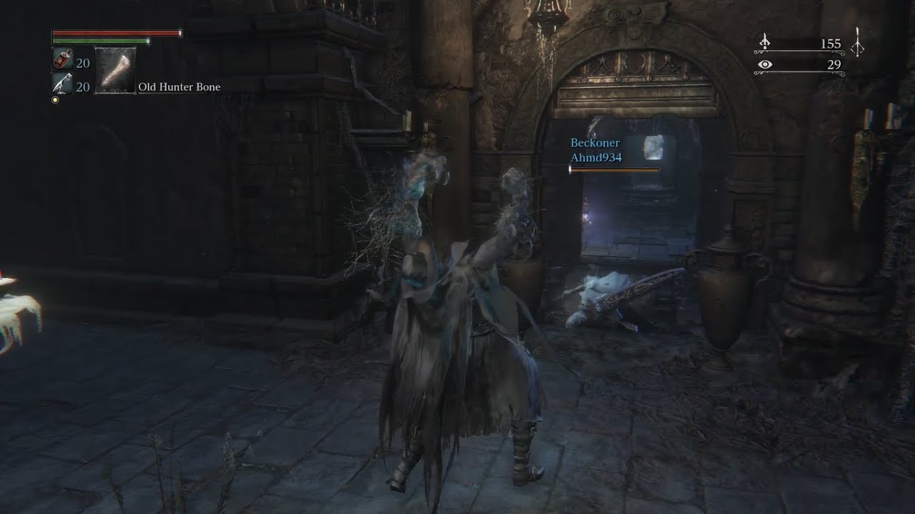 Another AFK host getting punished | Bloodborne