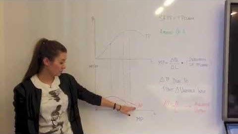 Production Function in the Short-Run