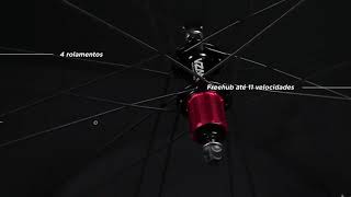 Roda Vzan Concept 2019 Clincher