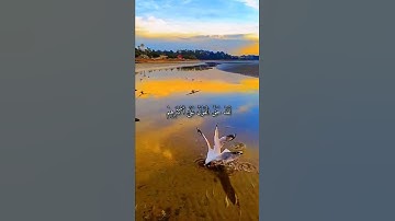 روائع التلاوات للشيخ سعد الغامدي