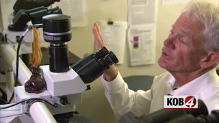 4 Investigates: New Mexico study aims to unlock the brains of murderers, prevent violence
