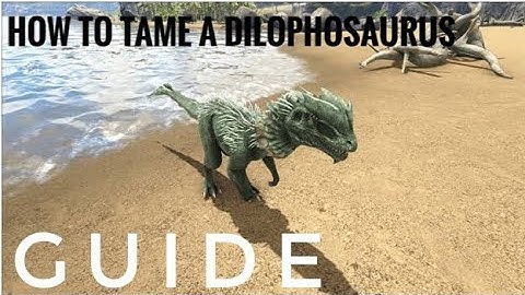 Ark how to tame a dilophosaurus - everything you know about taming a dilophosaurus