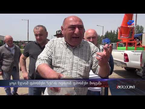 გოგი წულაიამ თავის პერფომანსში დღეს ფაროსნებიც დაიხმარა