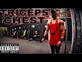 Chest &amp; Tricep Workout//Gym Body Motivation Pentagon Gym