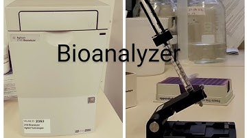 Bioanalyzer