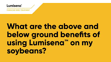 What are the above and below ground benefits of using Lumisena on my soybeans?