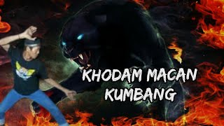 Macan Kumbang Dan Taring Dr Jembatan Kamal