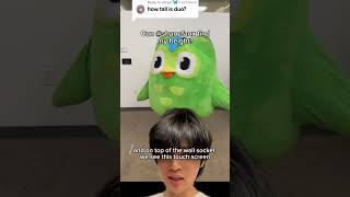 Mystery solved! @duolingo #MysterySolved #DuolingoPartner