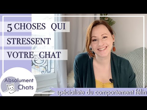 Vidéo: 5 Choses Qui Stressent Votre Chat