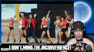 Snollebollekes - Sorry Voor De Overlast Reaction!