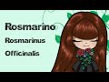 Proprietà del Rosmarino (Rosmarinus Officinalis) - Doni della Natura - Piante anticaduta