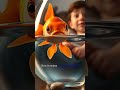 Fish With Opinions