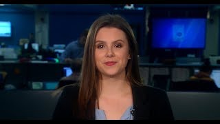 News in 90: Gainesville plans for a greener community