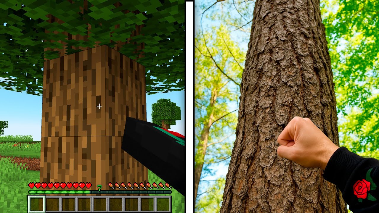 Minecraft pero Cada Vez es MÁS REALISTA!