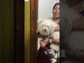 Tom Reaction after three days🥺 #shorts #agvlogs #shortsvideo #funny  #trending #ytshorts
