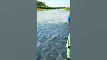 cast net fishing for boat #fishing #fish #net #babyhandcasting