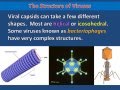 Understanding Viruses