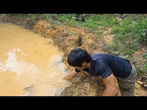 Video: Tiigi mahutavus. Dekoratiivne plastist tiik maal