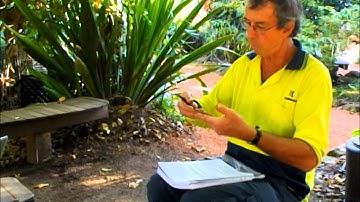 permaculture principle 11