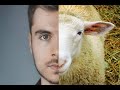 Сны Наша исправительная колония земля Что по ту сторону купола Сны Наша исправительная колония земля Что по ту сторону купола