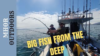 Deep Sea Fishing Scotland  Big Fish