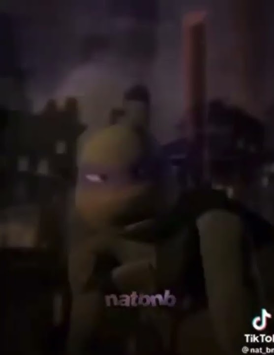 Cr: @nat_bnb on TikTok #donnie #edit #tmntdonnie #tmnt2012 #slay