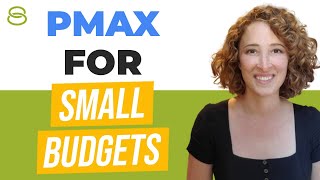 Performance Max for Small Budgets