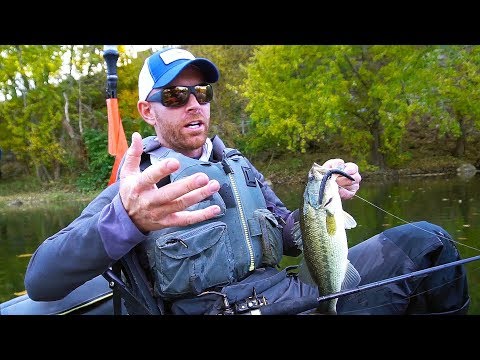 How to Fish Small Creeks for Largemouth & Smallies