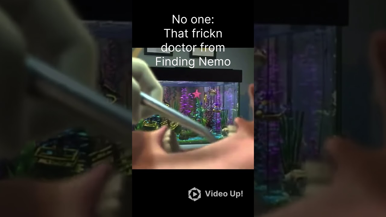 Don’t ask questions. I was bored. 