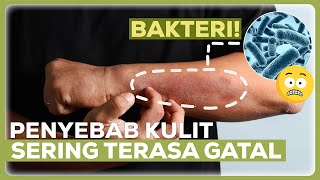 HATI-HATI! Kebiasaan Ini Ternyata Penyebab Kulit Kamu Jadi Gatal! | Info Kesehatan