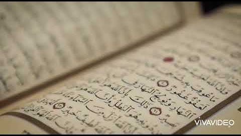 ترتيل بصوت القارئ نور الدين الحداد ❤