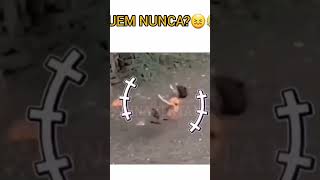 Video Lucu yang Bakal Menghibur Hari Anda – Tonton Sampai Habis! #videolucu  #kompilasilucu #shorts