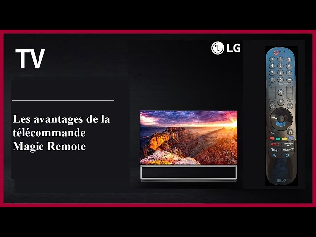 Télécommande LG Electronics LG Magic Remote MR22GN - Télécommande