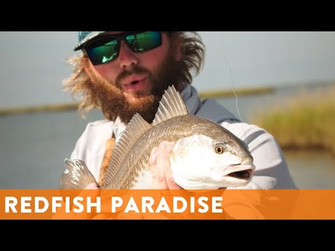 Fly Fishing for Redfish! DIY Saltwater Fly Fishing In The Marsh w/ @dorsaloutdoors