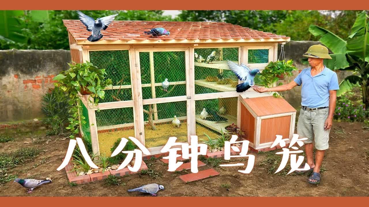 8分钟学会制作木质鸟笼- YouTube