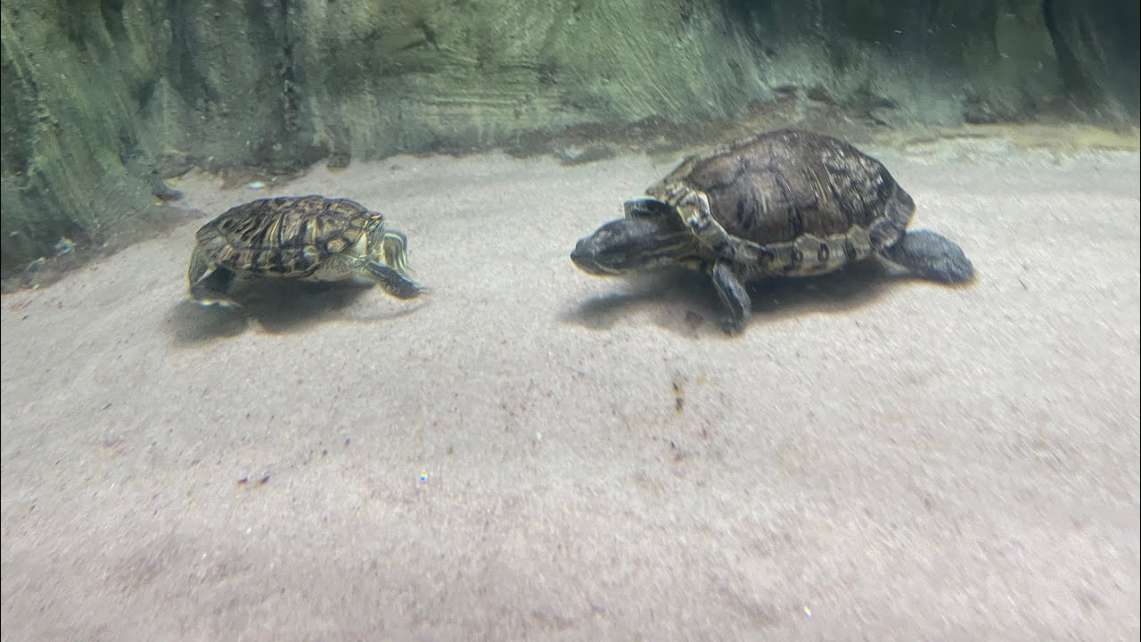 I Love the nature, Visit Science City. 