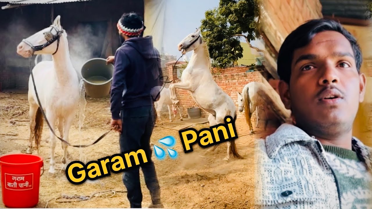 Aaj to dono pushpa ko garma pani 💦 se nehla diya hai 😎