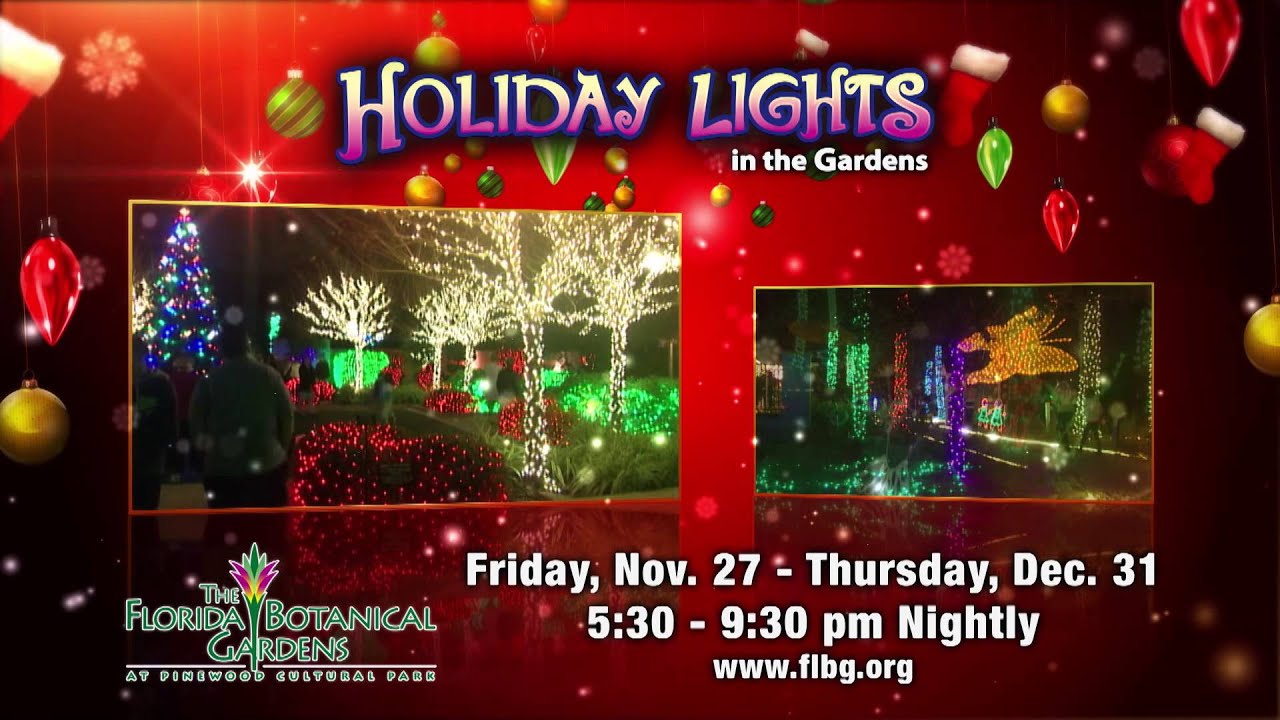 Holiday Lights at Florida Botanical Gardens YouTube