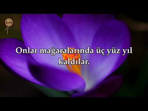 Kehf Suresi |