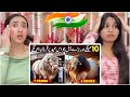 Biggest Qurbani Animals on Eid ul Adha 2026 | INDIAN REACTION | SILLY FILLY NAINS 