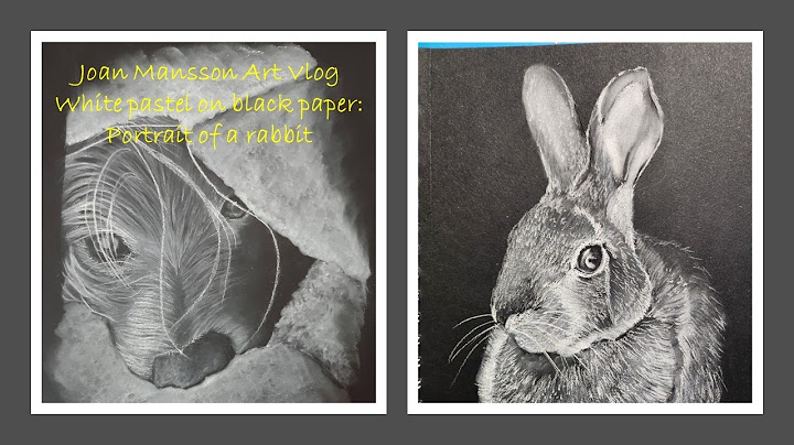 White chalk on black paper: portrait of a rabbit