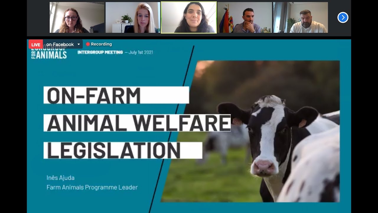Implementation Report on On-Farm Animal Welfare