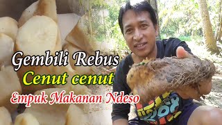 Makanan Gembili Rebus Atau Godok Dari Kebon Rasanya Enak Dan Empuk Di Desa