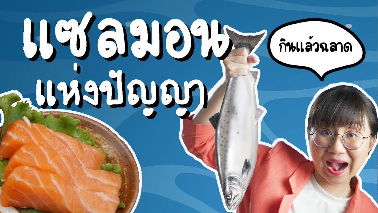 เปิดตำนานแซลมอนแห่งปัญญา ปลาที่ฉลาดที่สุดในโลก | Point of View