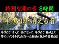 【耳鳴り治療音】キーンという耳鳴りに効く音 不眠・不安を解消する滝の音 8時間