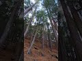 sri#shiv#reels#nature#naturelovers#youtubeshorts#mountains#shorts#shortvideo#trending#like#song#yt